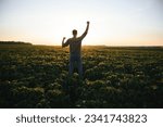 Small photo of Happy agronomist or farmer raised his hands uphill in the field and rejoices at a good harvest