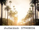Beverly Hills street with palm trees at sunset, Los Angeles
