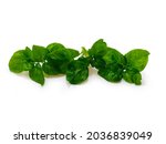 Small photo of water cress (Nasturtium officinale) isolated on white background