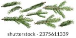 Christmas fir branch isolated...