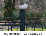 Small photo of Broken and damaged white incandescent lamp, outdoors on the pole. Transport. Entry. Secure. Security. Limit. Restriction. Metal. Obsolete. Damaged
