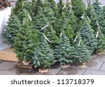 Christmas trees for sale, Munich, Germany