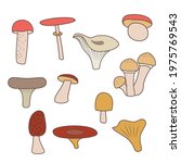 mushrooms set. cartoon... | Shutterstock .eps vector #1975769543