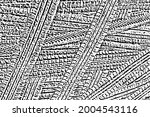 grunge texture of the surface... | Shutterstock .eps vector #2004543116