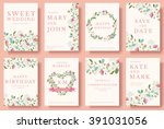 set of flower wedding ornament... | Shutterstock .eps vector #391031056