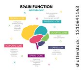 Creative Human Brain...