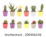 Cactus collection isolated on white background. Aloe and other succulents in colorful ceramic pots