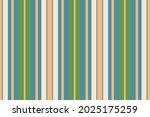 stripes pattern vector... | Shutterstock .eps vector #2025175259