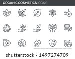natural and organic cosmetics... | Shutterstock .eps vector #1497274709