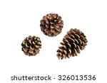 set of various pine cone trees isolated on white background