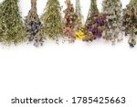 Row Of Medicinal Herbs Bunches...