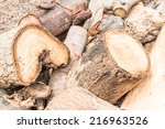 Pile Of Timber Logs In Pine...
