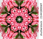 Small photo of abstract background of flower pattern of a kaleidoscope. pink green white background fractal mandala. square kaleidoscopic arabesque. geometrical ornament floral pattern with tulip flowers