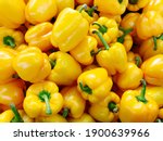 Many Yellow Organic Bell Pepper ...
