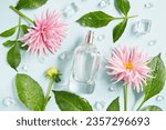 Small photo of Square bottle of perfume with pink dahlia flowers, ice cube, water drops and green leaves on the light blue background. Fresh summer, fall smell. Flowery perfume smell.