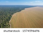 Aerial Drone View Of The Xingu...