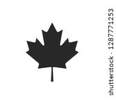 Autumn Leaf Canadian Icon Vector