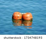 Two Floating Orange Buoys ...