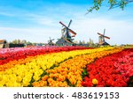 Landscape With Tulips ...