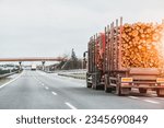 Timber Truck Transporting Logs. Exporting Wood on a Highway with a Trailer Full of Logs. A truck is transporting logs on a semi-trailer on a suburban asphalt highway on a summer day.