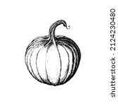 pumpkin  vector illustration.... | Shutterstock .eps vector #2124230480