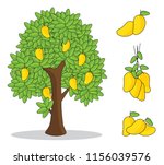 Yellow Mango On Tree With White ...
