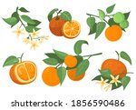 colorful orange branches and... | Shutterstock .eps vector #1856590486