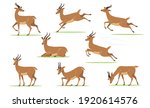 Cartoon gazelle set. African antelope walking, eating, running, jumping, resting on lawn in different poses isolated on white. Vector illustration for horny animal, wildlife, fauna concept