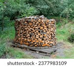 Small photo of Woodpile or Woodhouse, a wood windrow in a circle old methode for drying and storage of firewood and lots