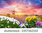 Small photo of Landscape with tulips, traditional dutch windmills and houses near the canal in Zaanse Schans, Netherlands, Europe. High quality photo