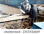 The back view of people unloading fish