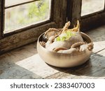 Small photo of samgyetang,Ginseng Chicken Soup with Abalones, MyRealHoliday, My Real Holiday