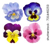 Pansy Flower. Hand Drawn Vector ...