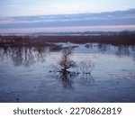 Small photo of A tree in the middle of flooded bayou near Conner Bayou, Grand Haven, Mi