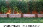 Small photo of Billericay, Essex, United Kingdom, January 30, 2022. Bamboo fence screening in wooden railway sleeper raised beds or planter toughs. Outdoors winter day domestic back garden.