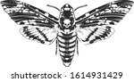 Vector Engraving Style Insect...
