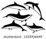 Silhouettes Of Dolphins Set....