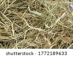 Dried Grass  Hay Straw Macro 