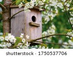 Old Wooden Birdhouse On A...