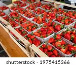 Fresh Ripe Strawberries In...