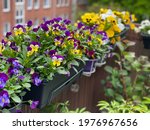 Decorative Flower Pots With...