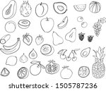 fruit  graphic set  line... | Shutterstock .eps vector #1505787236