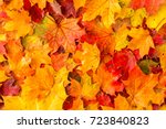 Background of colored wet autumnal maple leaves in a morning