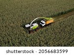 Small photo of Forage harvester on maize cutting for silage in field. Harvesting biomass crop. Self-propelled Harvester for agriculture. Tractor work on corn harvest season. Farm equipment and farming machine.