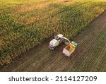 Small photo of Maize Harvesting with Forage harvester in field, aerial view. Cutting Maize for agriculture and silage. Dump truck transports corn from field. Corn harvest season at farm. Self-propelled harvester.