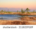 Small photo of Swamp Yelnya in autumn landscape. Wild mire of Belarus. East European swamps and Peat Bogs. Ecological reserve in wildlife. Marshland at wild nature. Swampy land and wetland, marsh, bog.