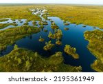 Swamp landscape  drone view....