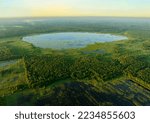Small photo of Lake in Swamp, aerial view. Freshwater Lakes. Water supply and water deficit, ecology environmental. Marshland with spruce, pine, fir tree. Morass, wetlands. Peat Bog, fen, mire landscape. Peatland.