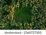Forest  aerial view. forest...
