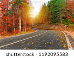 Asphalt road passing through the forest. Colorful leafy trees. Fallen Leaves. Gorgeous autumn image. Exciting. Bursa, Istanbul, Turkey.